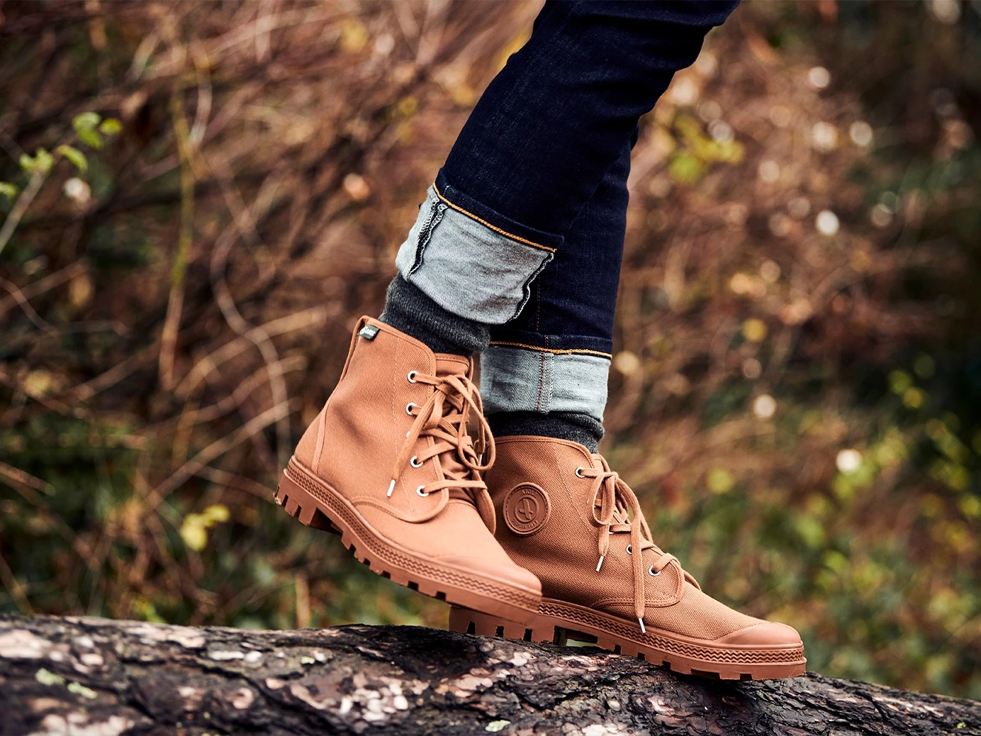 Camp Life Gear Store -Camp Life Gear Store mos vitrine7 ah20 post christmas